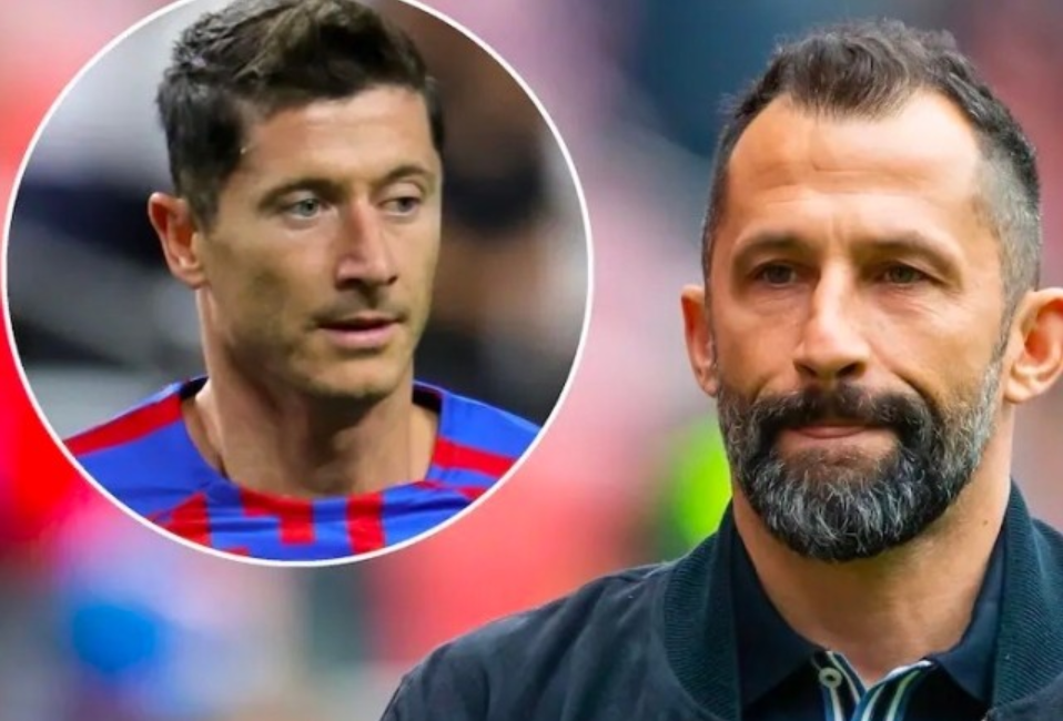 球迷和业界 球迷和业界